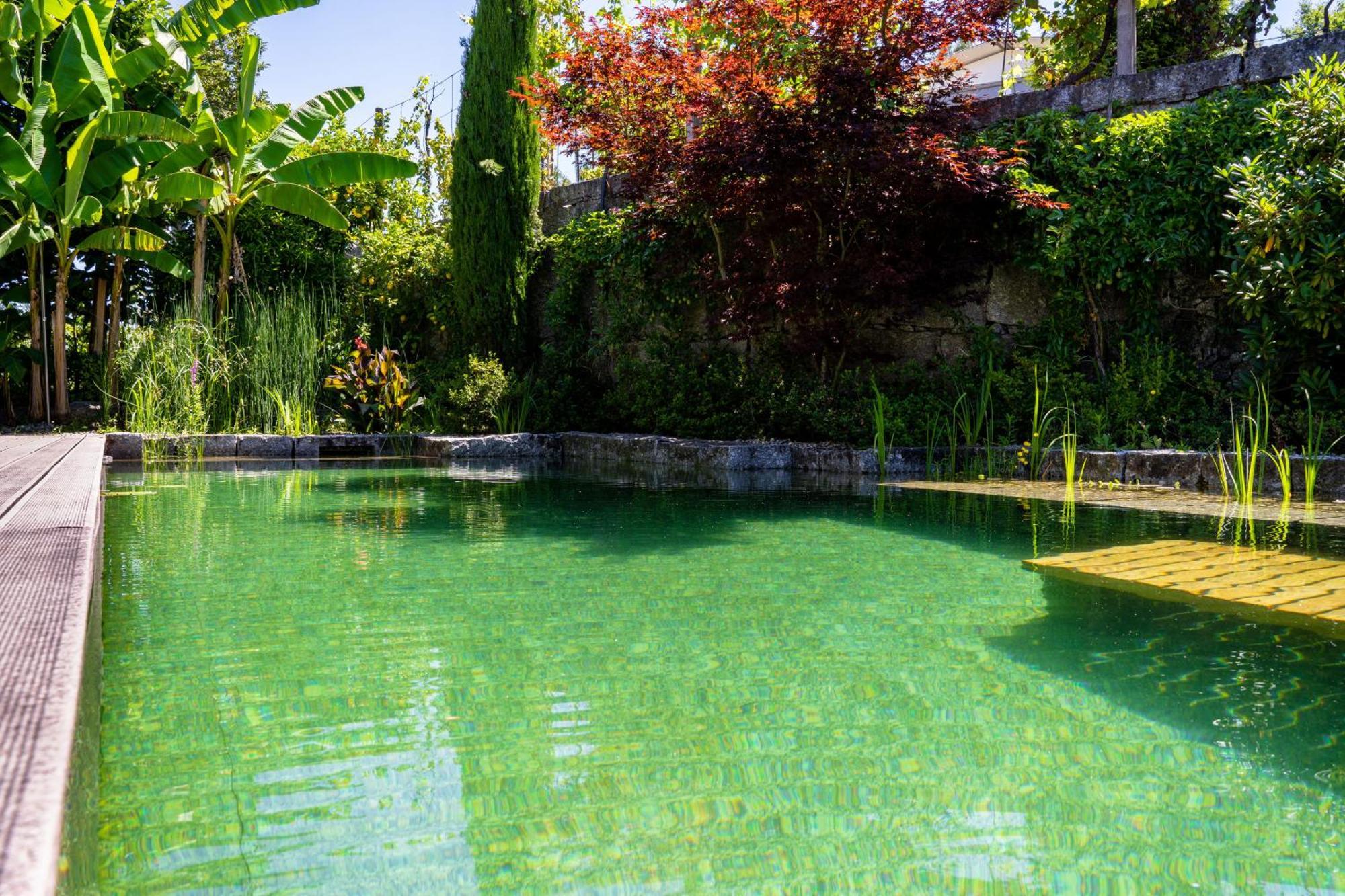 Gondomar Guimaraes - Moradia V3 Com Piscina Natural By House And People المظهر الخارجي الصورة