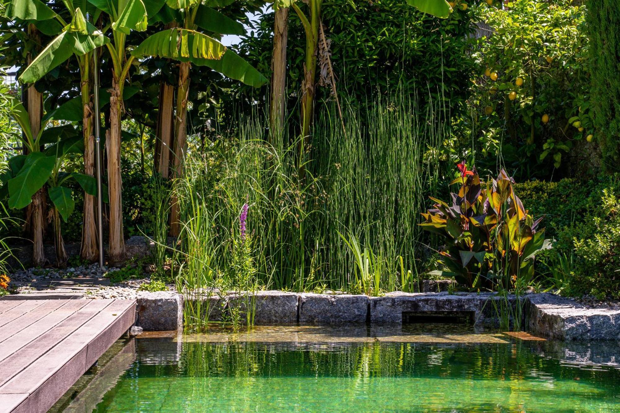Gondomar Guimaraes - Moradia V3 Com Piscina Natural By House And People المظهر الخارجي الصورة